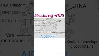 Structure of AIDS ✨full name easy diagram ✨ [upl. by Norod]