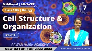 Cell Structure and Organisation  Class 11th Biology  Part 7 [upl. by Karp]