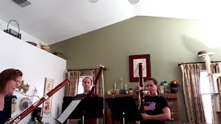 Weissenborn Bassoon Trio No 2 Polonaise from Op 4 [upl. by Aerdma936]