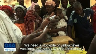 WHO Yellow fever vaccines global stockpile  Questions and answers QampA [upl. by Nilorac793]