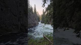 Deschutes River Trail oregon hiking travel adventure scenery nature river asmr [upl. by Aklim]