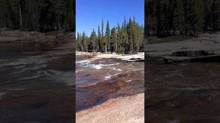 🌊 Tuolomne Meadows River Yosemite National Park [upl. by Darelle]