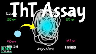 Thioflavin T Assay  Thioflavin T Fluorescence Assay  Thioflavin T Binding To Amyloids Assay [upl. by Nilhtac]