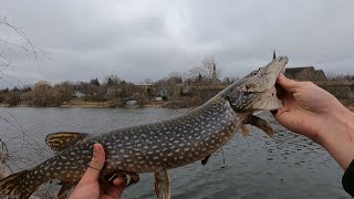 River Fishing for Pike [upl. by Laux]