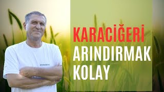 KARACİĞERİ TEMİZLEYEN ARINDIRAN YENİLEYEN GÜÇLENDİREN İYİLEŞTİREN BESİNLER ÇAYLAR GIDALAR [upl. by Yralih]