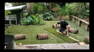 Tall Fescue Ready Lawn Install Timelapse [upl. by Sairu]