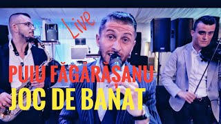 Puiu Fagarasanu❎Joc de Banat💯Live 2024 [upl. by Gardener910]