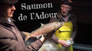 Truites amp saumons de lAdour  Terroirs de gueuletons [upl. by Jonell]