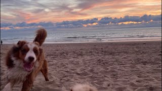 SCHEVENINGEN STRAND AVOND ZON LIVE [upl. by Zulch819]