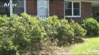 How to Prune Azaleas [upl. by Aical]