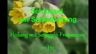 Heilung mit Solfeggio Frequenzen 111 Hz [upl. by Htial654]