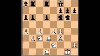 ANATOLY KARPOV VS ROBERT HUEBNER [upl. by Eca]