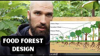 the ONLY Food Forest video you need to watch syntropic agroforestry  NZ [upl. by Trace]