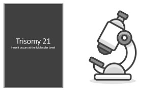 Trisomy 21 How it Occurs at the Molecular Level [upl. by Matilde]