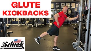 Glute Kickbacks On Cable Machine  Ankle Strap Exercises Glutes  Glute Pressbacks  Schiek Inc [upl. by Balch791]