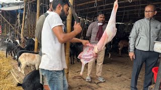 Roadside Famous Mutton Shop In Dhaka  Fastest Mutton Cutting Skills  Goat Cutting [upl. by Scott]