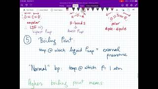 Vapor Pressure and Boiling Point [upl. by Alim]