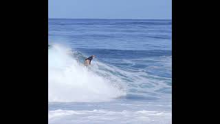 Surf Rocky Point hawaii surfing surf northshore waves wsl surfers surfergirl surfboard [upl. by Ayana829]