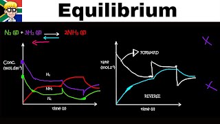 Equilibrium Graphs grade 12 Concentration [upl. by Meg]