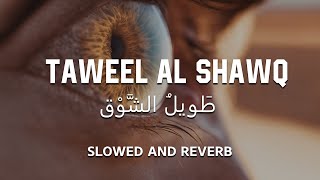 Taweel Al Shawq  Slowed  Reverb 💙 [upl. by Renner12]