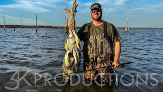 Wading Stump Flats For Mississippi Crappie [upl. by Alahc]