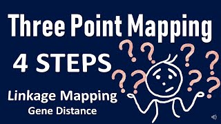 Three point mapping II Gene Order II Gene Distance II Genetics Problem Linkage [upl. by Ardnuasal]