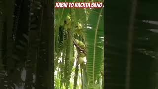 कभी तो रचता बनो  Kabhi To Rachata Bano  Kavita  kavita nature happiness [upl. by Penney153]