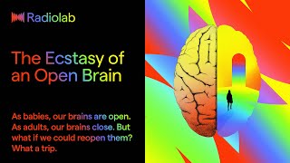 The Ecstasy of an Open Brain  Radiolab Podcast [upl. by Anirda]