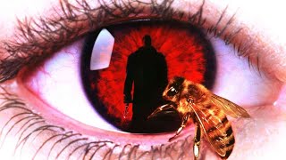 Candyman Movie Trailers [upl. by Kcirdes]