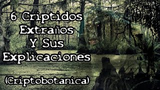 6 Criptidos Extraños Y Sus Explicaciones  Edición Horror Botánico [upl. by Nikal]