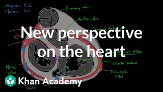 New perspective on the heart  Circulatory system physiology  NCLEXRN  Khan Academy [upl. by Narcho]