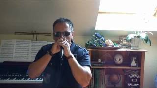 Tougher Than The Rest  Bruce Springsteen Full harmonica cover [upl. by Harsho]