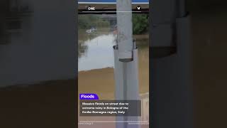 Massive floods on street due to extreme rainy in Bologna of the EmiliaRomagna region Italy shorts [upl. by Jacqui374]