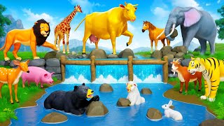 Golden Cow Leads Farm Animals in Water Pool Diorama Adventure  Funny Animals 2024 Cartoons [upl. by Neelrahc932]