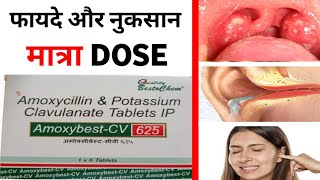 Amoxybest CV625 tablets Benefits dose side effects amp precautions full details in hindi [upl. by Laehcor]