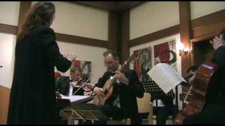 Carsten Grøndahl Vivaldi Guitar Concerto in D major 3rd movement Leopolis Chamber Orchestra [upl. by Som]