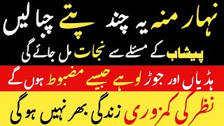 Hazrat Ali Quotes  Best life Quotes Best Quotes  Achi Batain  Islamic Quotes Aqwal e Zareen [upl. by Abramo878]