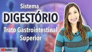 Sistema Digestório 25  Trato Gastrointestinal Boca Faringe Esôfago e Estômago [upl. by Maire]