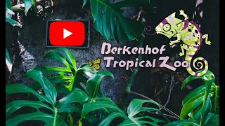 Berkenhof Tropical Zoo [upl. by Podvin]