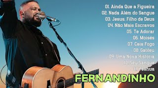 Fernandinho  Coletânea das melhores músicas gospel que tocam o coração das pessoas Fernandinho [upl. by Snilloc]