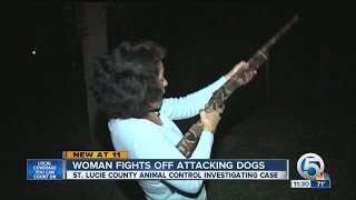 ATTACKED Woman Fights Off Pit Bull Dogs With Shotgun [upl. by Tonjes976]