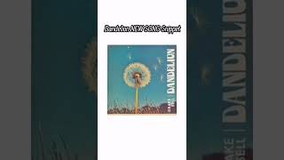 Drake Bell  Dandelion NEW SONG SNIPPET drakebell drakemusic music dandelion nonstopflight [upl. by Cyd]