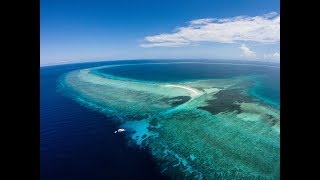 Dive Philippines Tubbataha [upl. by Mailli325]