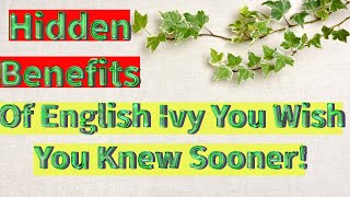 Secret Health Benefits of English Ivy Plant Revealed HealthandWellnesszone [upl. by Romulus]