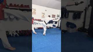 Gedan Mawashi Geri  Ushiro Geri karate padwork martialarts [upl. by Sardse]