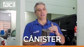 Cânister funcionalidade cuidados e principais defeitos I Mecânica Fácil [upl. by Canon]