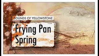 Sounds of Yellowstone  Frying Pan Spring — ASMR Sleep Concentration White Noise 8 Hours [upl. by Marbut]