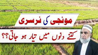 What is the proper age of Rice nursery to cultivate  Crop Reformer [upl. by Quince]