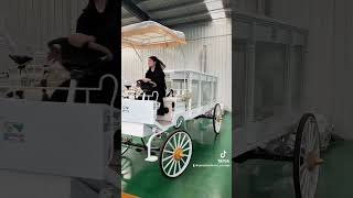 Pure White Christian Electric Funeral Horse Carriage carriage funeral [upl. by Ailemac871]