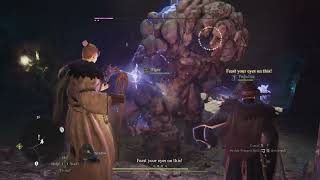 Dragons Dogma 2│This THIEF amp SORCERER just WRECKED That BOSS HOLY SHT [upl. by Bevan]